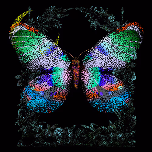 Monarch #518
