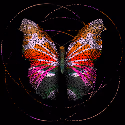 Monarch #540