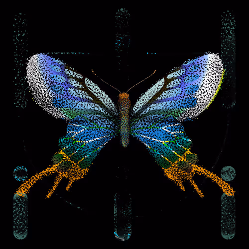 Monarchs Nft