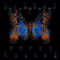 Monarch #476