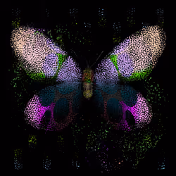 Monarch #405