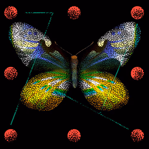 Monarch #552