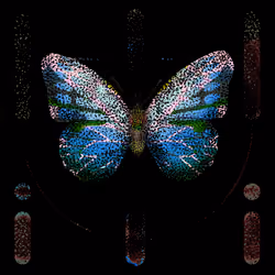 Monarch #440