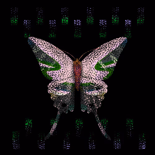 Monarch #343