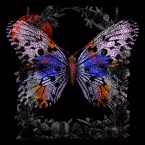 Monarch #449
