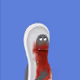 684