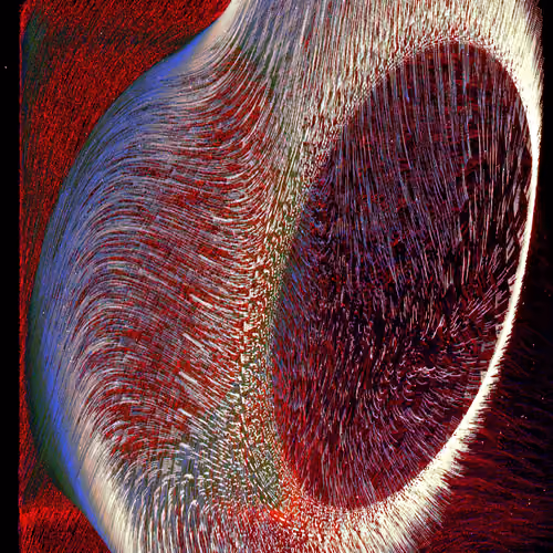 Whispers of Life #7