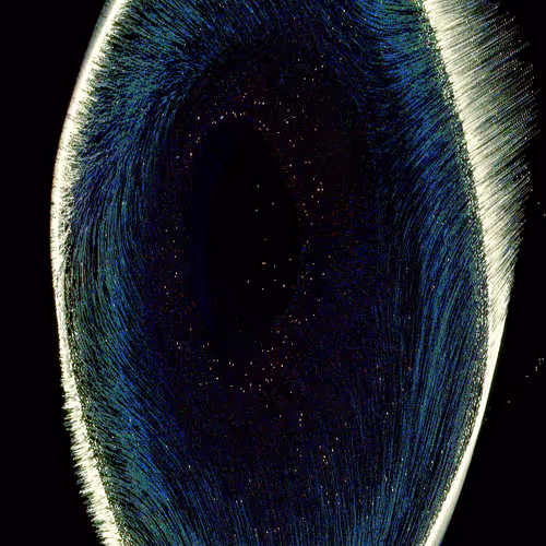 Whispers of Life #422