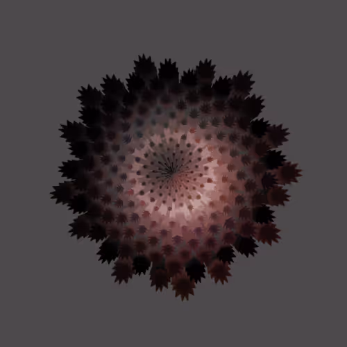 Fractal Bloom By Jen Stark