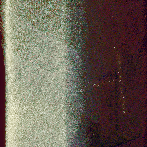 Whispers of Life #40