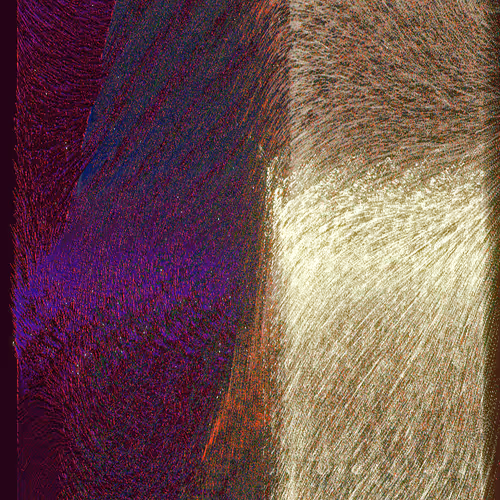 Whispers of Life #434