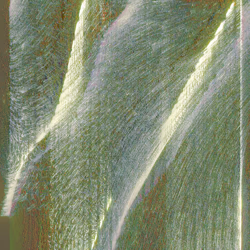 Whispers of Life #475