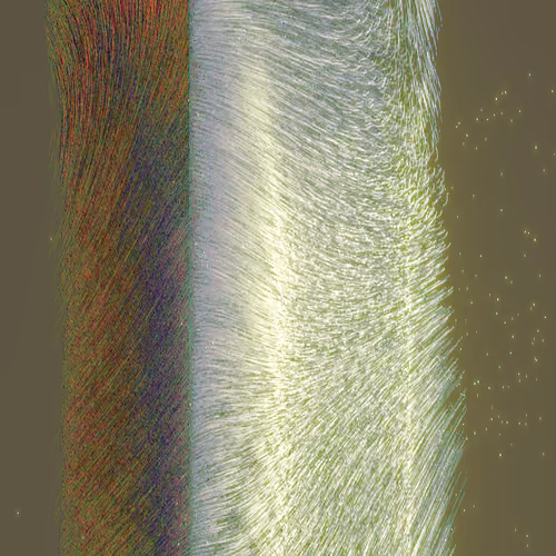 Whispers of Life #573