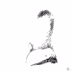 J48BAFORM #3224