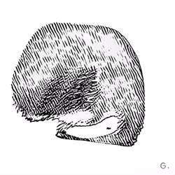 3010