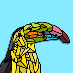 Toucan
