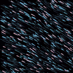 Brush Strokes 706