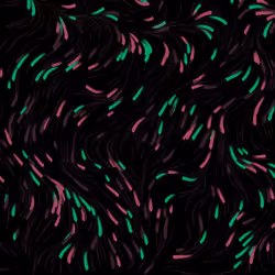 Brush Strokes 1056