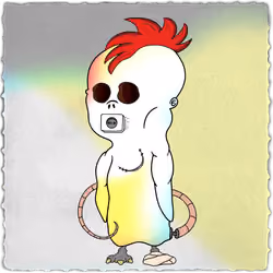141