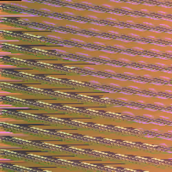 Axons #90
