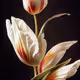 A Flower, Just For You. #85