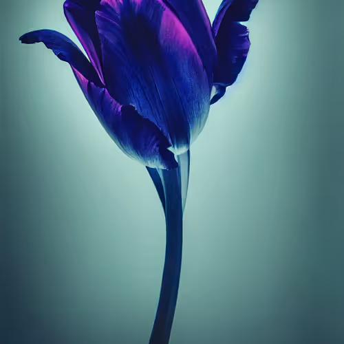 A Flower Just For You