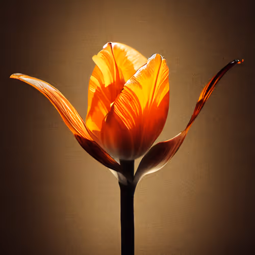 A Flower Just For You