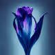 A Flower, Just For You. #86