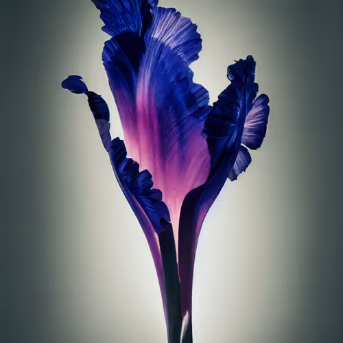 A Flower Just For You