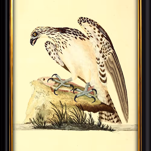 10603293105034935855969703229626330893870804243728142802014395208052909289