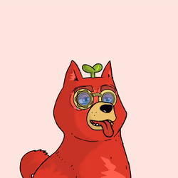 207