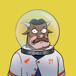 Rickstro Bull 581