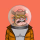 Rickstro Bull 4234