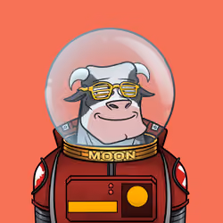 Rickstro Bull 3429