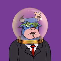 Rickstro Bull 884