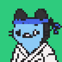 Game Cat #4045