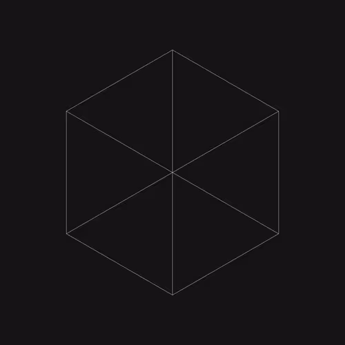 The Fungible By Pak