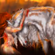 HorseCollectionsArt