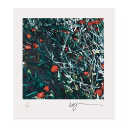 The Joy of Colour #47