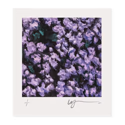 The Joy of Colour #16