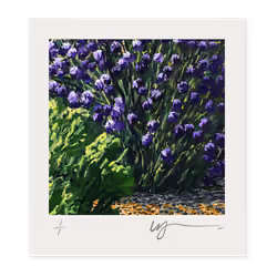 The Joy of Colour #133
