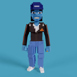 Item Media