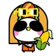 5255