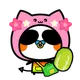 5048