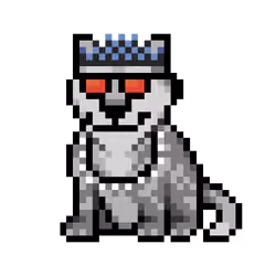 Wolf #12923
