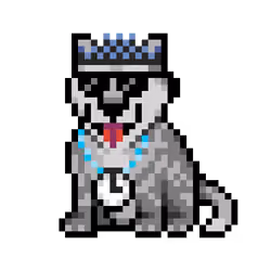 Wolf #13323