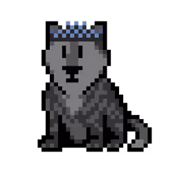 Wolf #8691
