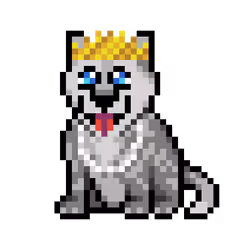 3793