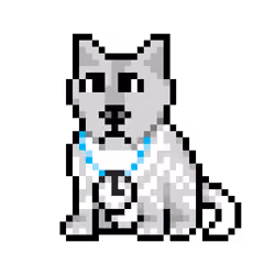 Wolf #12939