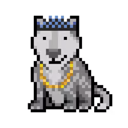 Wolf #9552